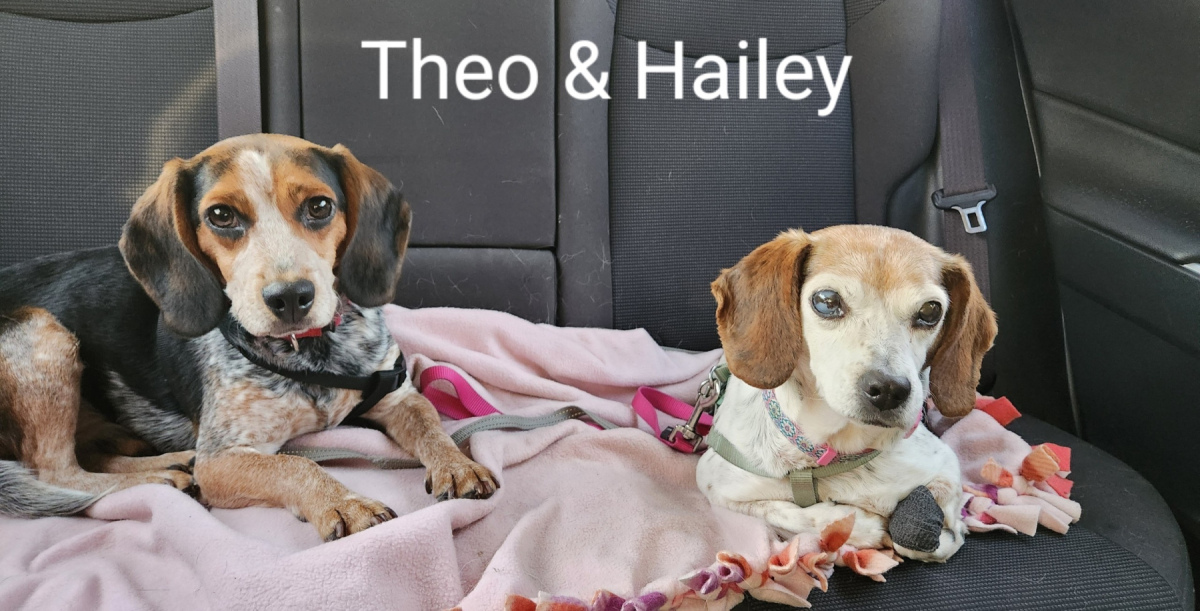 Theo & Hailey