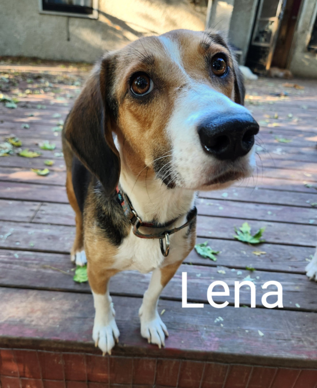 Lena
