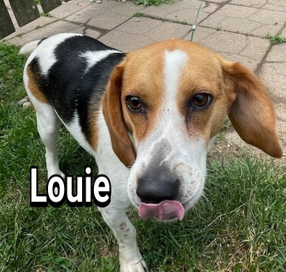 Louie