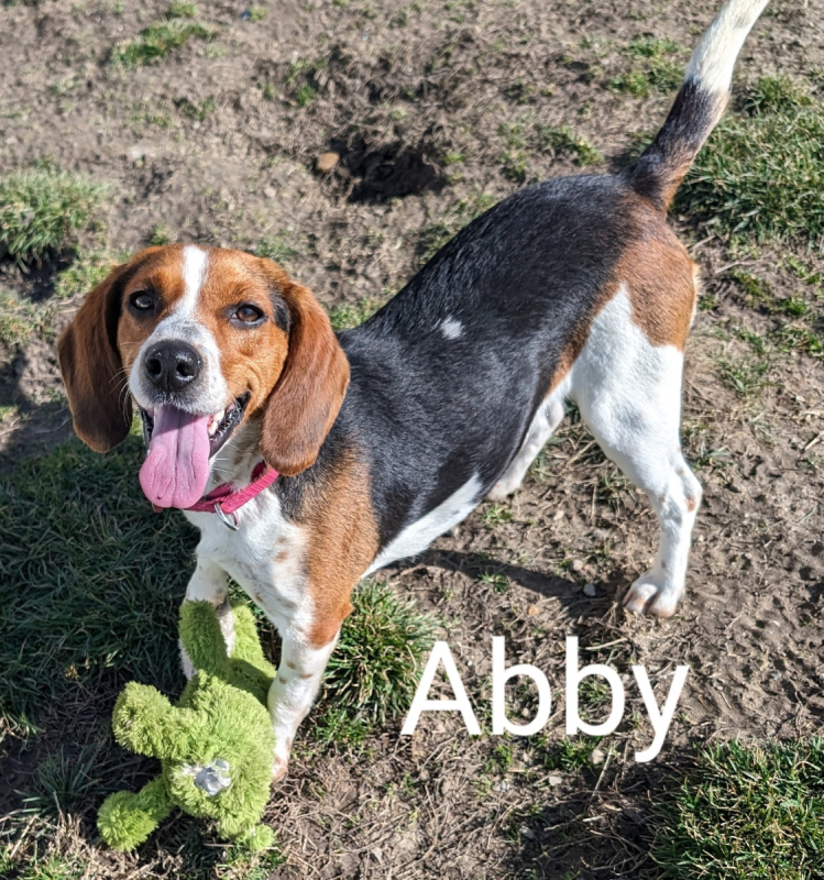 Abby