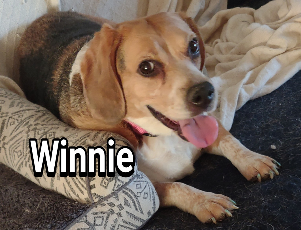 Winnie