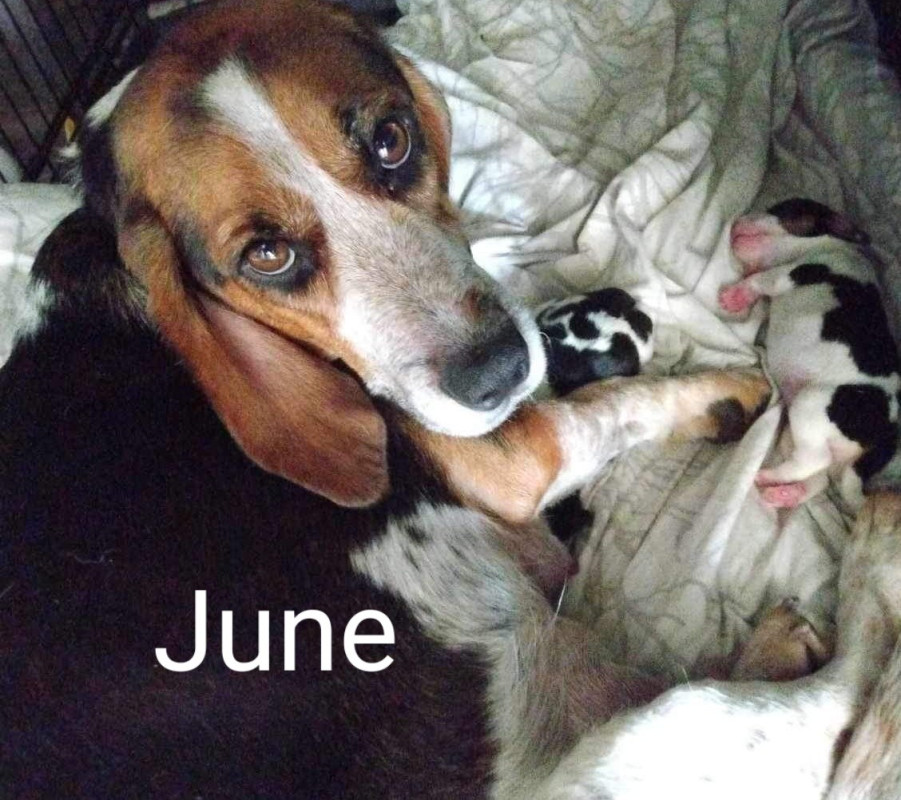 June