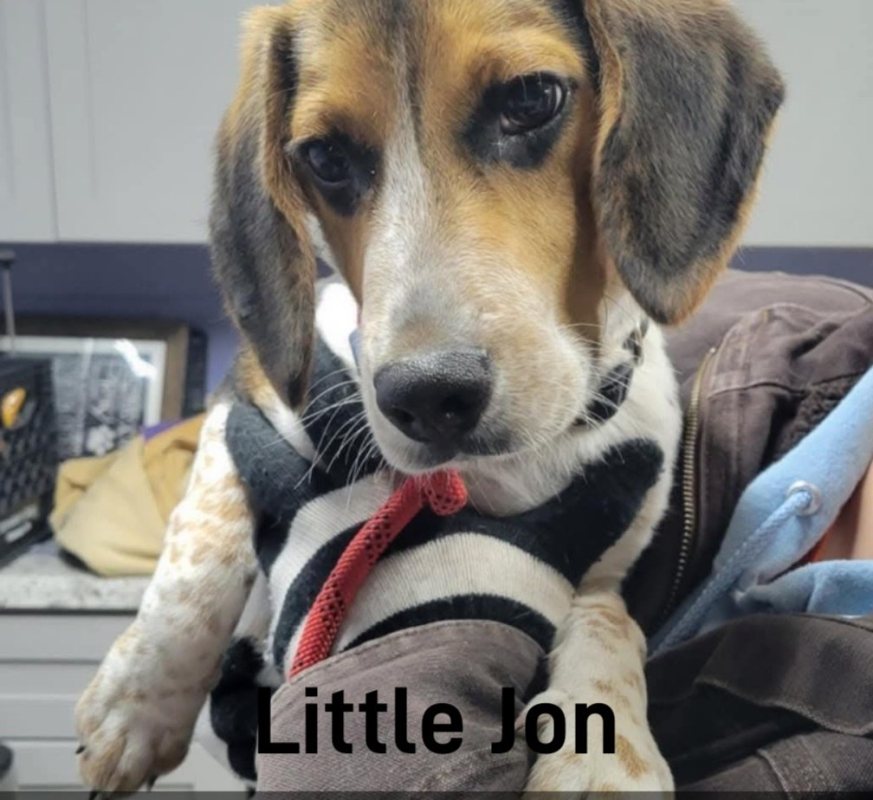 Little-Jon