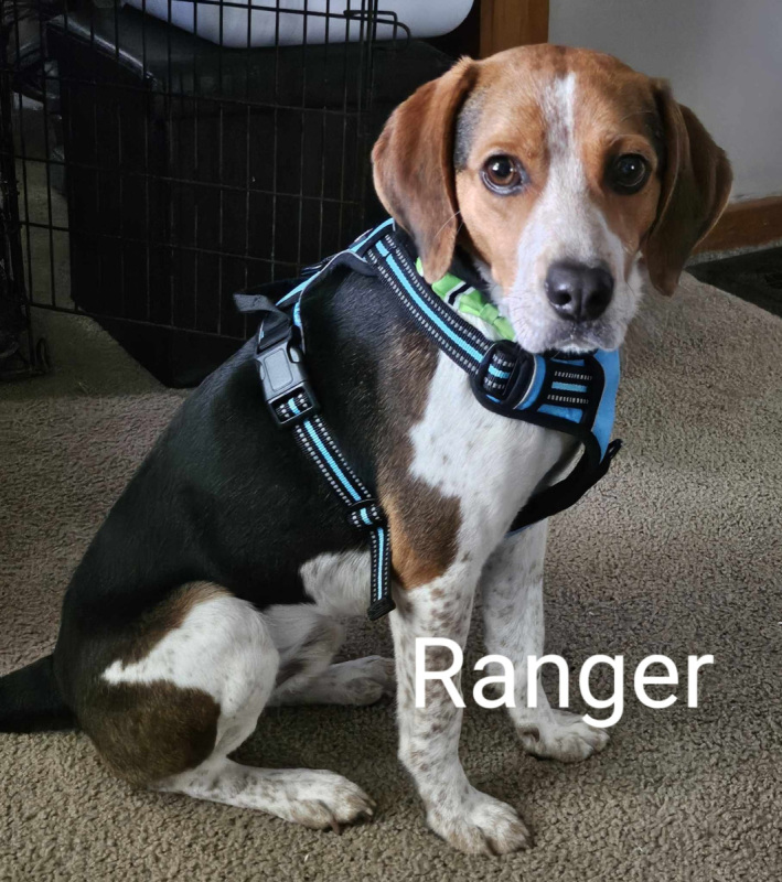 Ranger