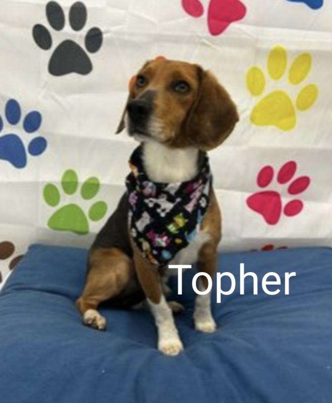Topher