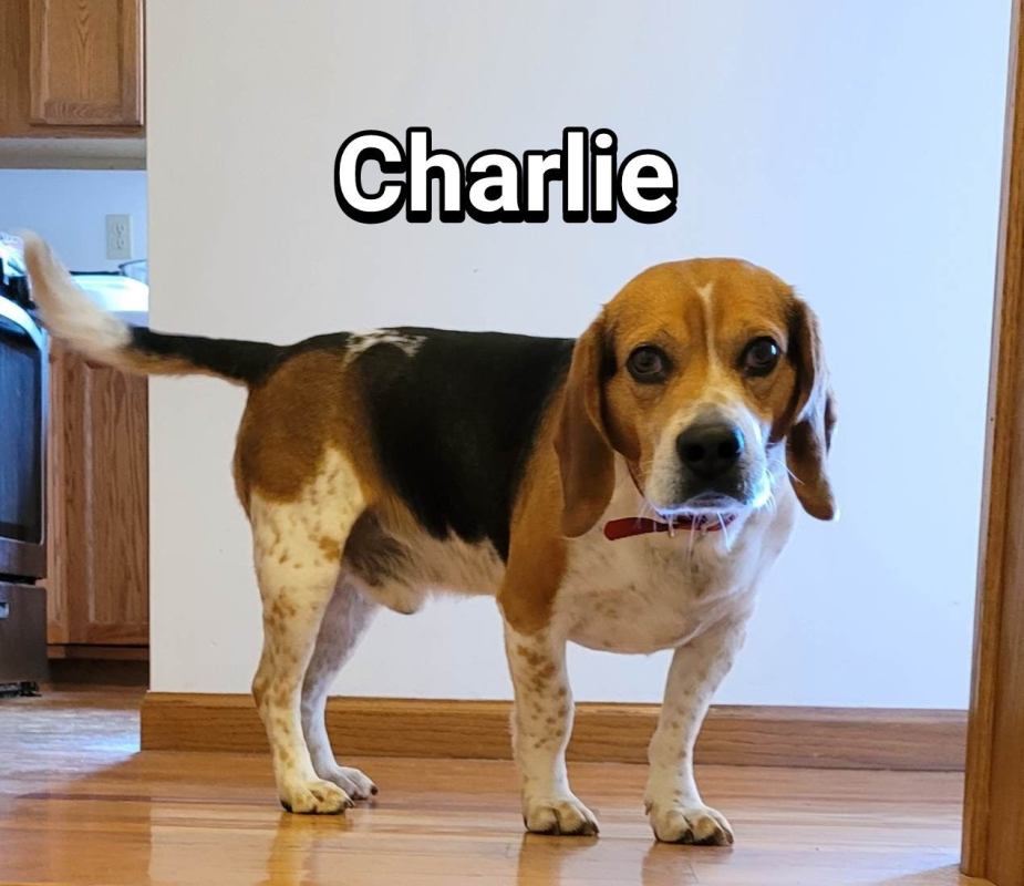 Charlie