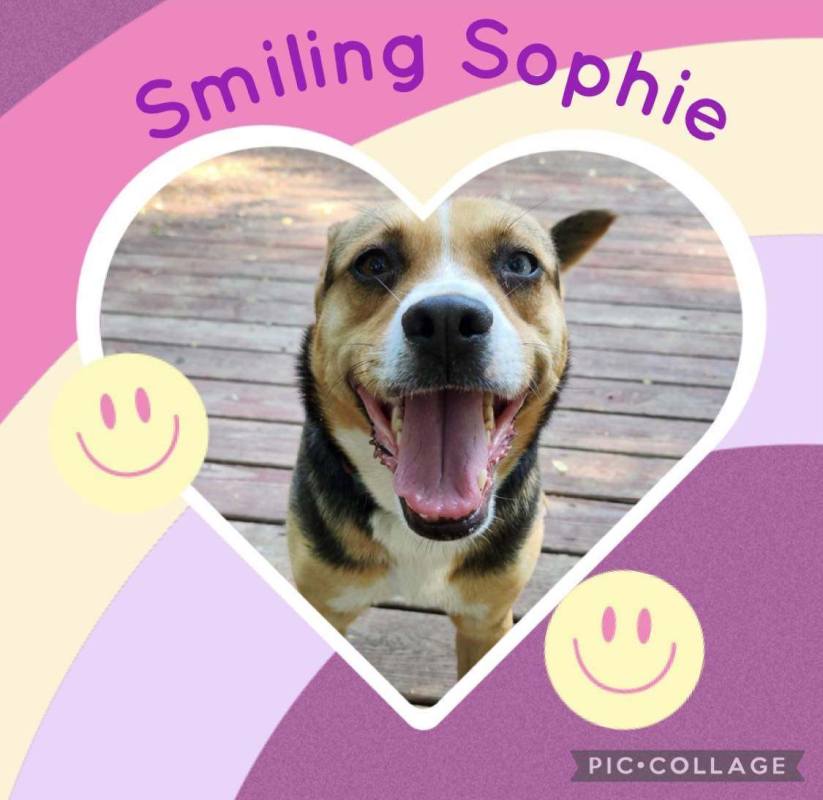 Smiling Sophie