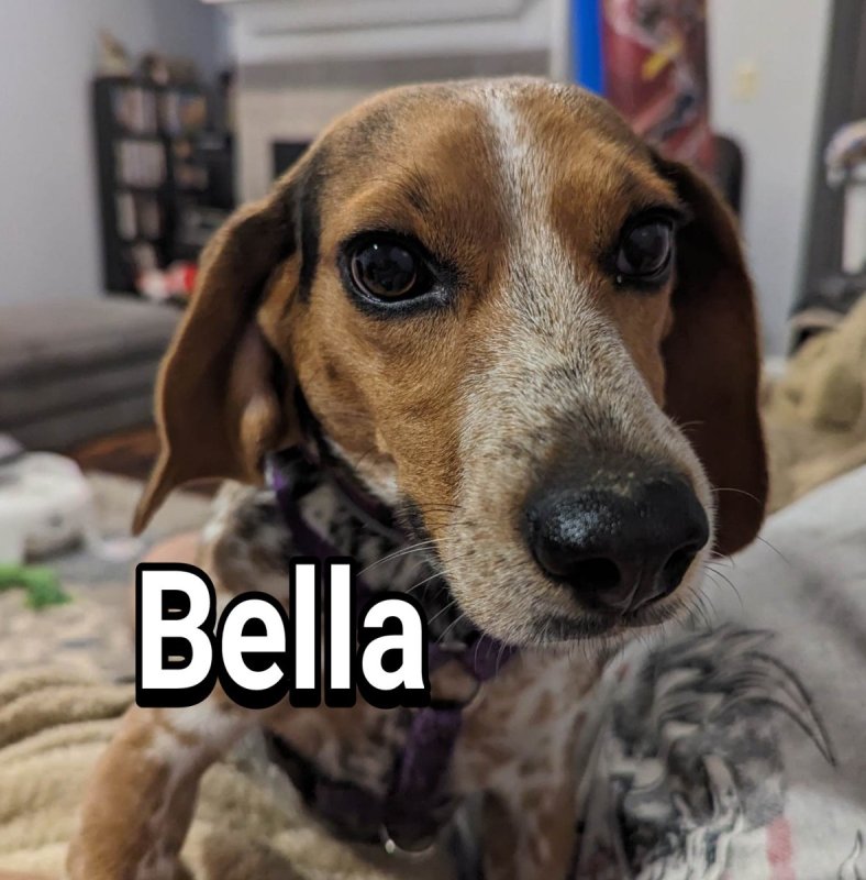 Bella