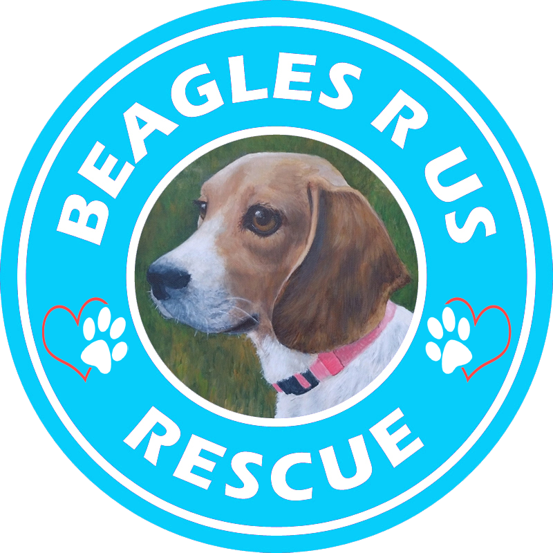 Beagles R Us Rescue